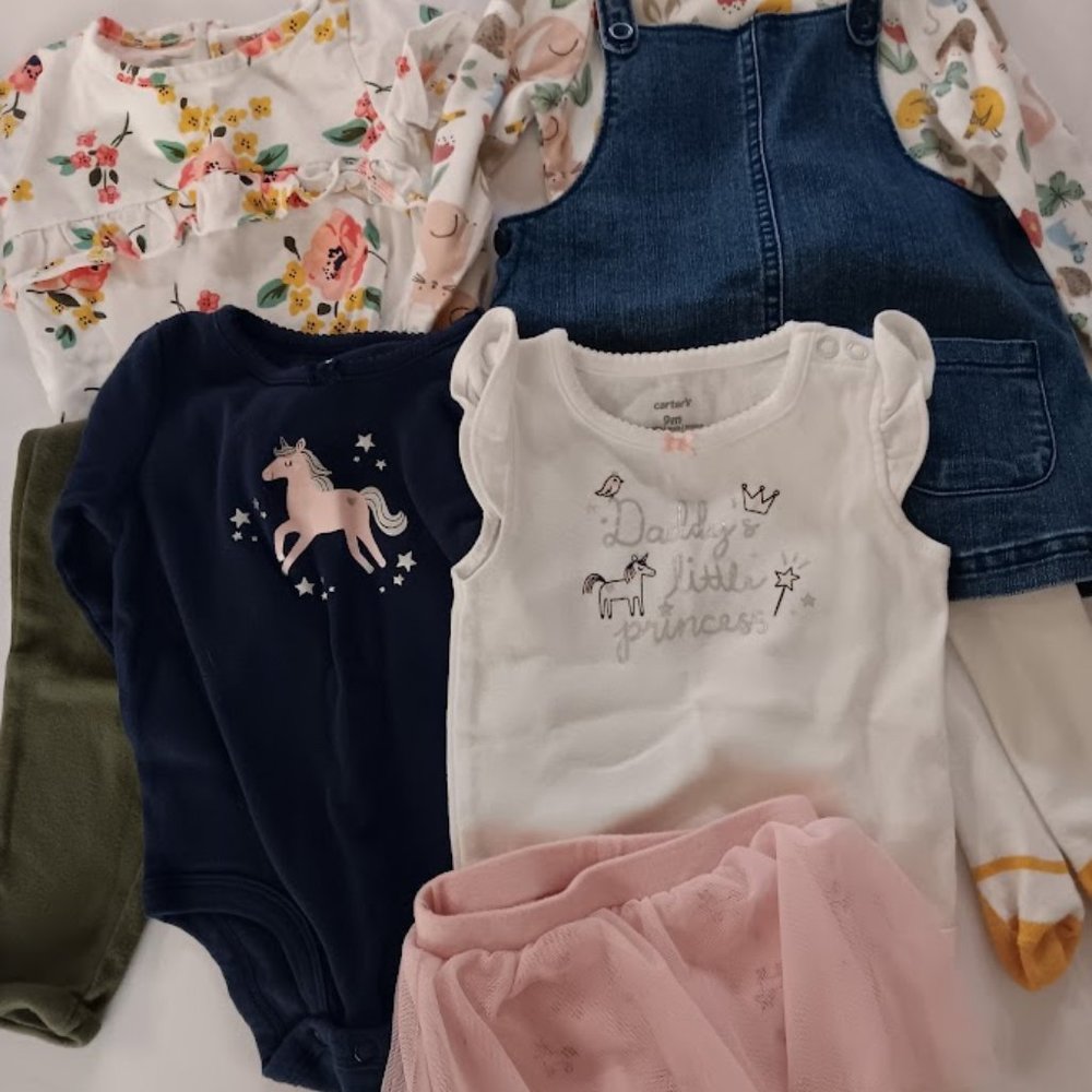 Baby Girls 9M Lot - Carters